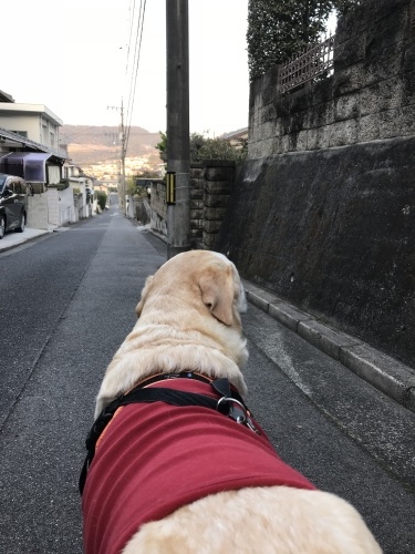 f0315081_18054974.jpeg