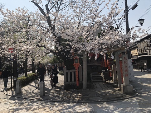 d0341582_08505410.jpg