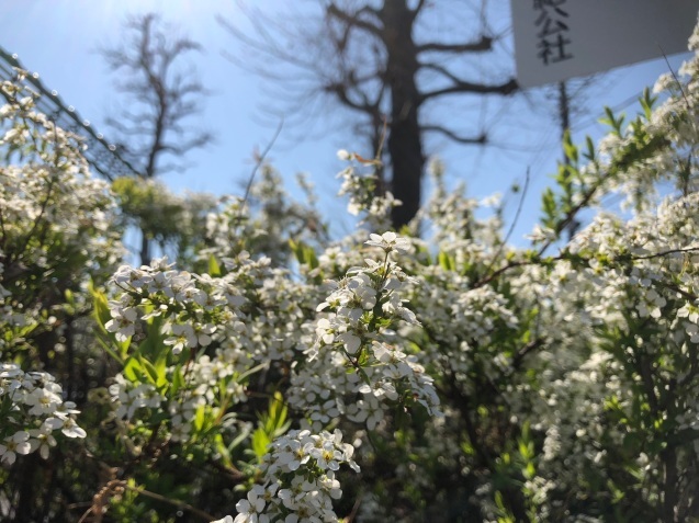 c0332184_16455027.jpeg