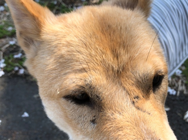 c0332184_16473982.jpeg