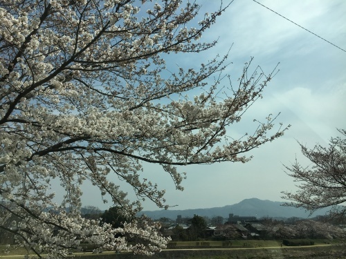 娘の「うふふ」_f0347891_02204912.jpeg