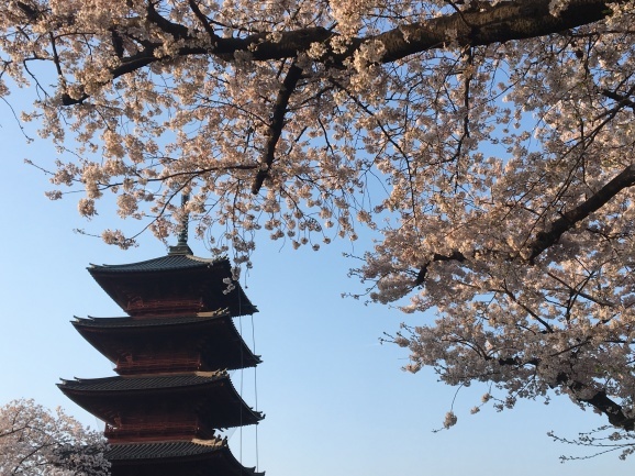 f0042295_20330138.jpeg