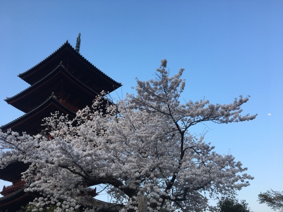 f0042295_20332126.jpeg