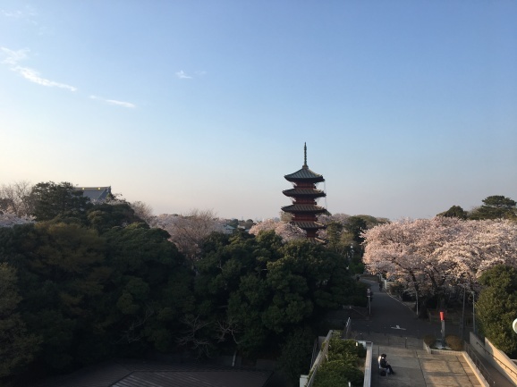 f0042295_20343501.jpeg