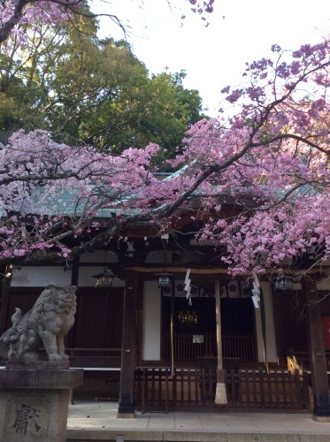 b0110999_22465350.jpeg
