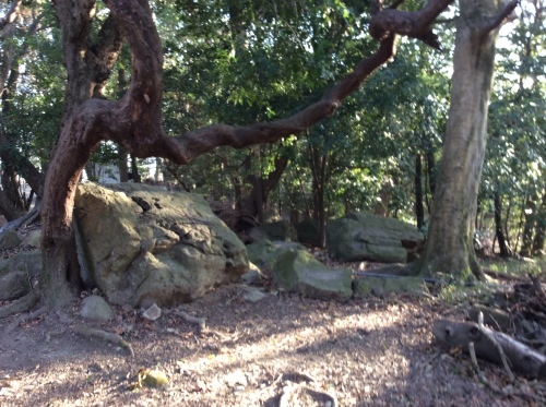 b0110999_22480929.jpeg