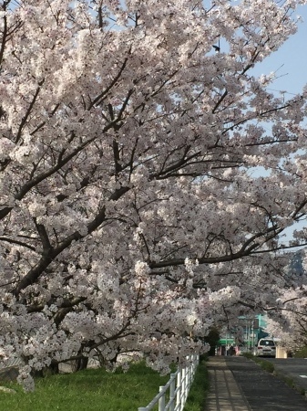 b0175400_17213705.jpg