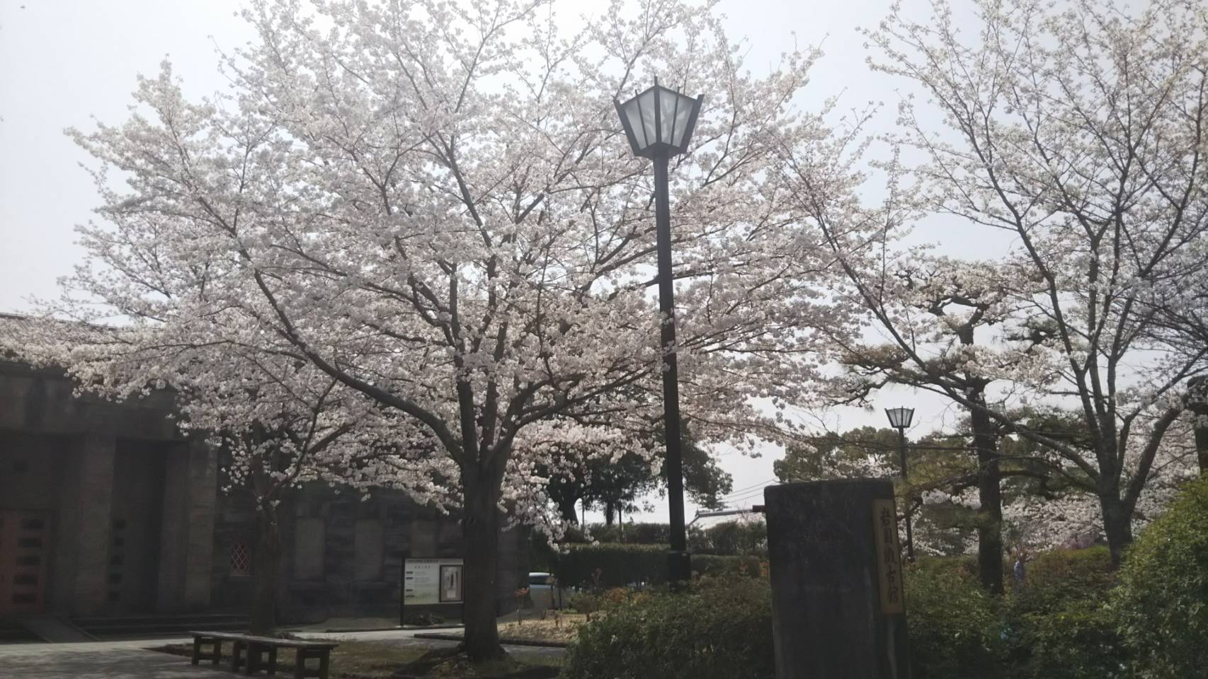 e0356901_18422215.jpeg
