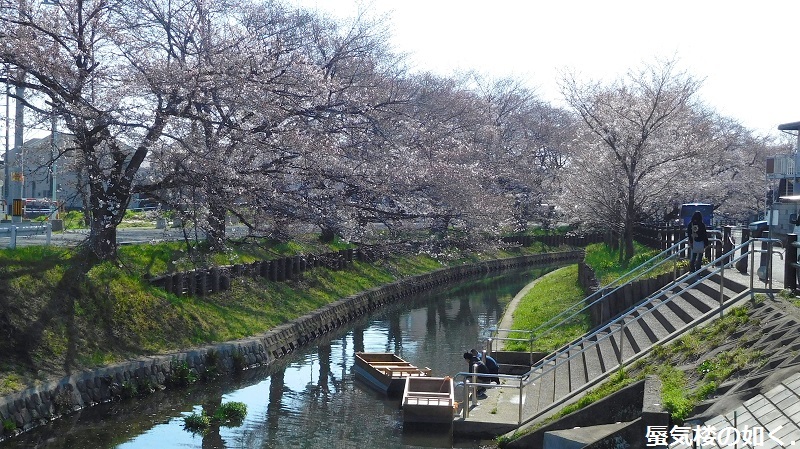 「月がきれい」舞台探訪016 桜の季節に新河岸川氷川橋から起点の碑までを巡って(H300325)_e0304702_08134049.jpg