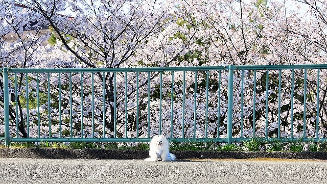 何という贅沢!!_d0360206_00172137.jpg