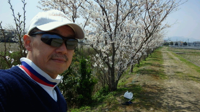 さくらの花見四回目:桜の花見で「もくもぐタイム。そだね〜〜!」 3_a0348309_16121577.jpg