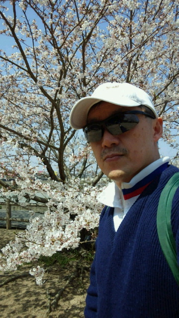 さくらの花見三回目：桜の花見で「もくもぐタイム。そだね〜〜！」  ２_a0348309_914435.jpg