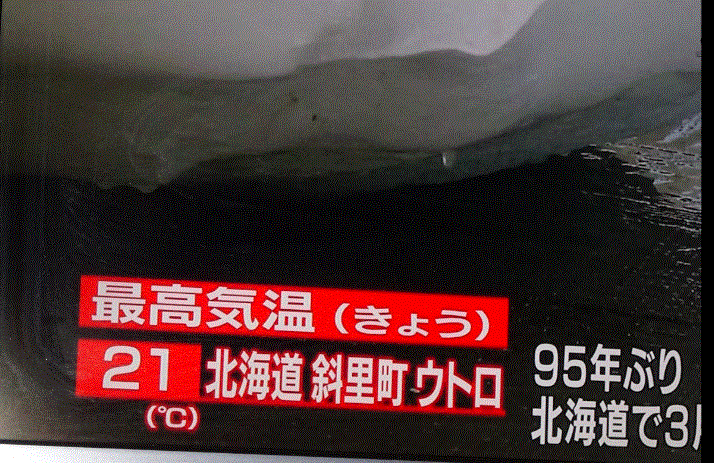 f0231709_14065338.gif