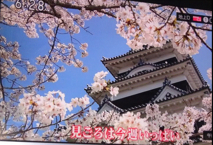 f0231709_14170858.gif