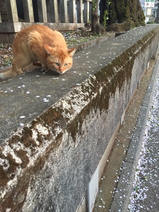 d0138811_10061015.jpeg