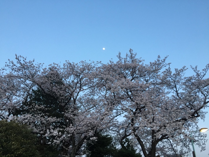 d0138811_10065165.jpeg