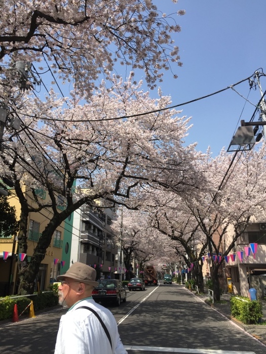 d0138811_22265088.jpeg