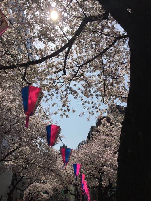 d0138811_22271701.jpeg