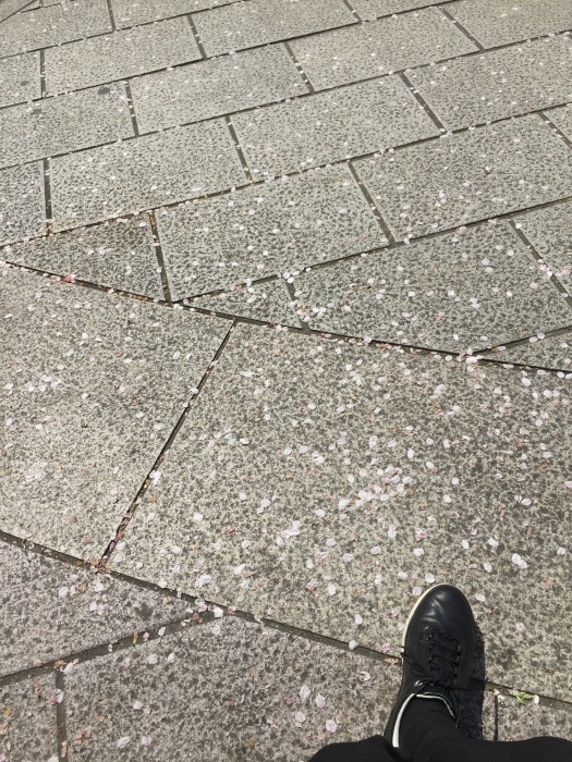 d0138811_22273186.jpeg