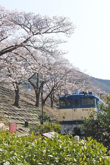 甚六桜 勝沼ぶどう郷駅 マキパン Homebake パンとお菓子と時々ワイン