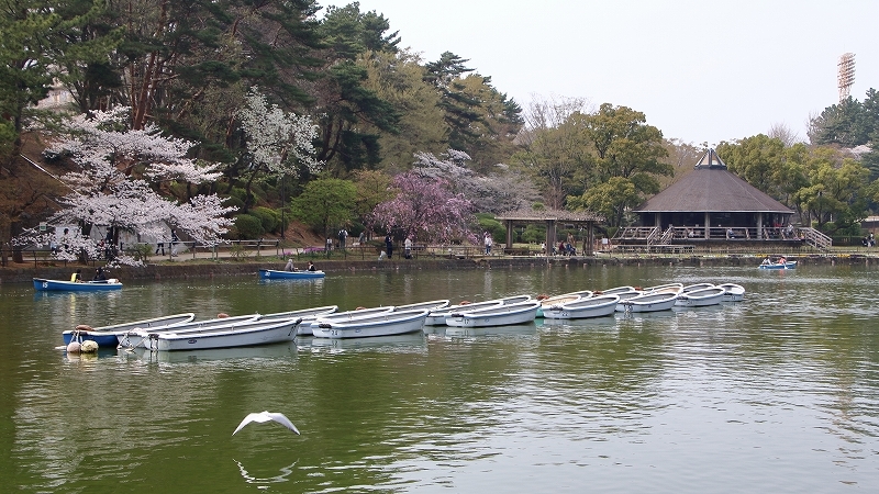 a0159414_10443836.jpg