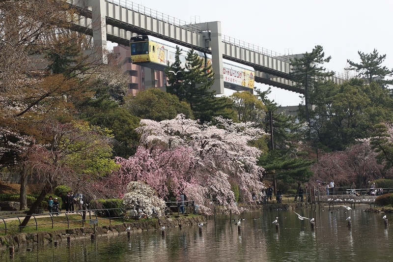 a0159414_10450263.jpg