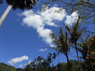 a0242019_06122855.jpg