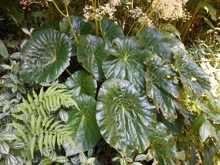 a0242019_06124454.jpg