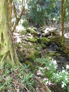 a0242019_06145078.jpg
