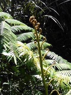 a0242019_06150680.jpg