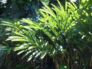 a0242019_06152034.jpg