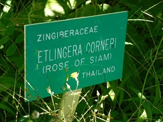 a0242019_06152408.jpg