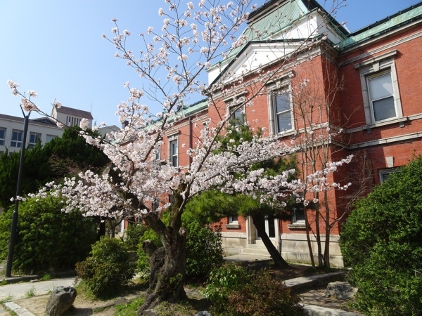 e0251420_14042389.jpg