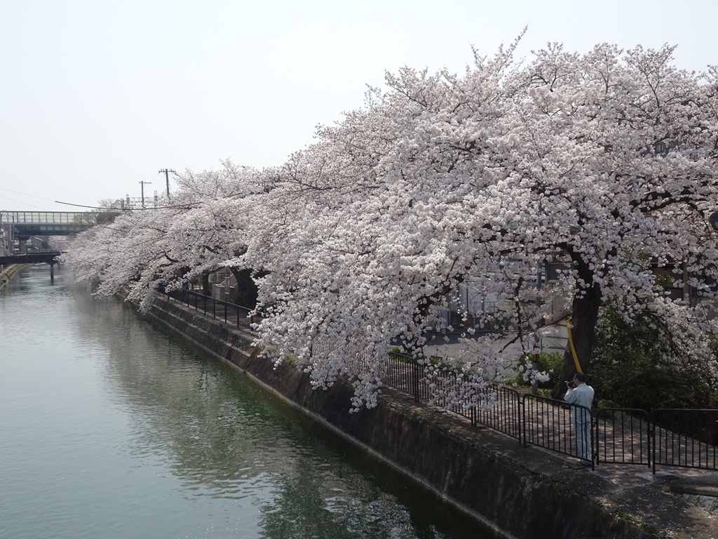 e0251420_14044322.jpg