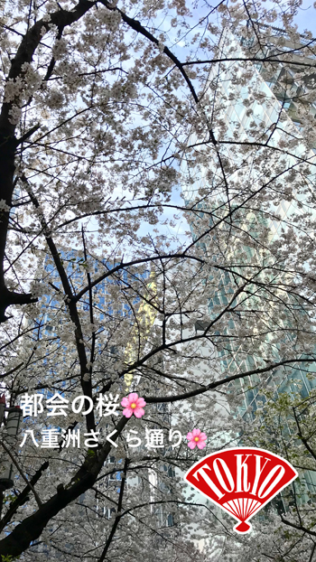 春キャベツと海老のレモン風味和え_c0103827_19120585.jpg