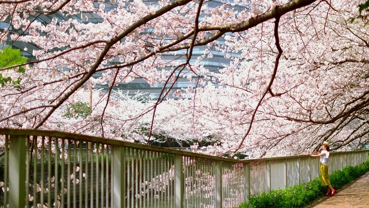 日記2018.03.29_a0000029_19025465.jpg