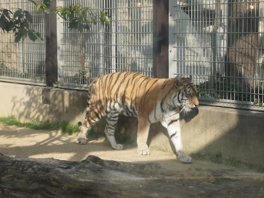 f0013029_17344912.jpg