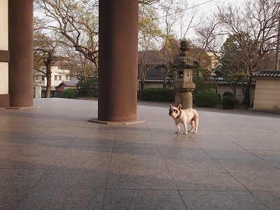 a0148431_19385246.jpg