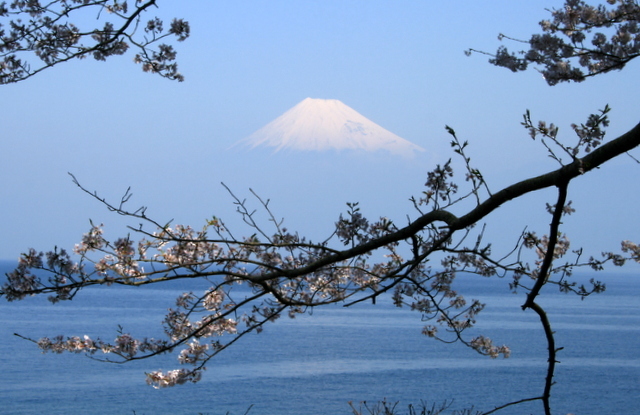 b0197433_14175100.jpg
