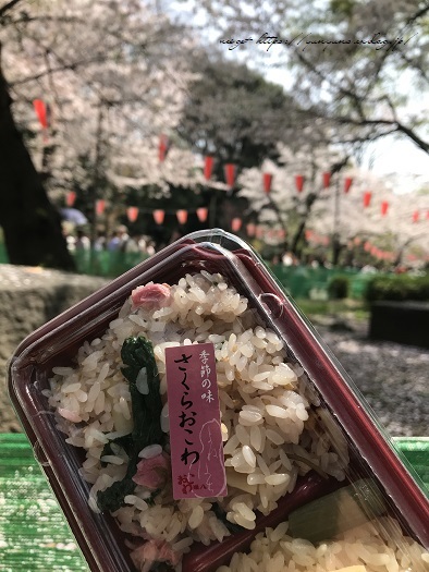 JRとくとく切符で都内へお出かけ巡り♪上野恩賜公園の桜&東京都美術館(AJC)_f0023333_22340107.jpg