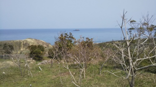 e0166734_20483078.jpg