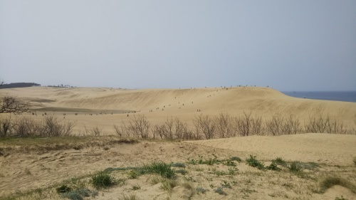 e0166734_20541905.jpg