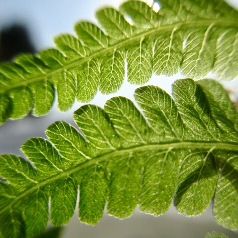 a0329935_07492119.jpeg