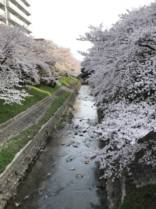 d0282139_16164034.jpeg