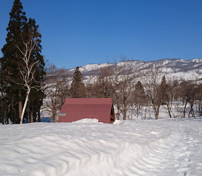 e0371039_1733223.gif