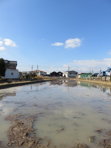 2018年3月30日　田植えの準備？　_b0341140_17455477.jpg