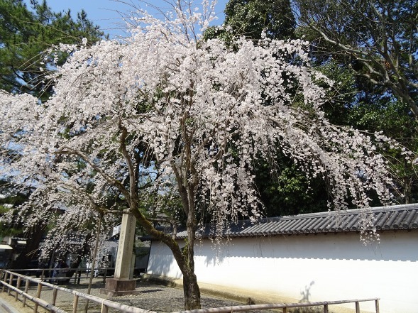 b0299042_11300250.jpg
