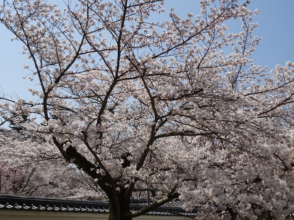 b0299042_11301288.jpg