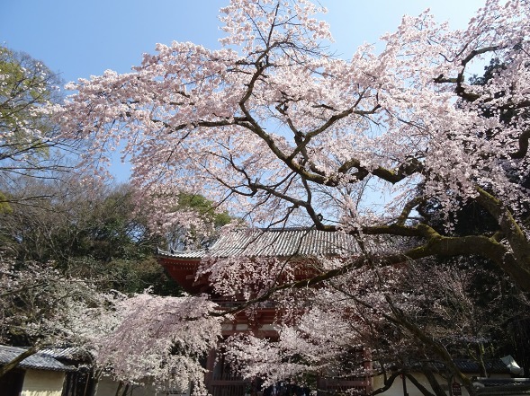 b0299042_11303637.jpg