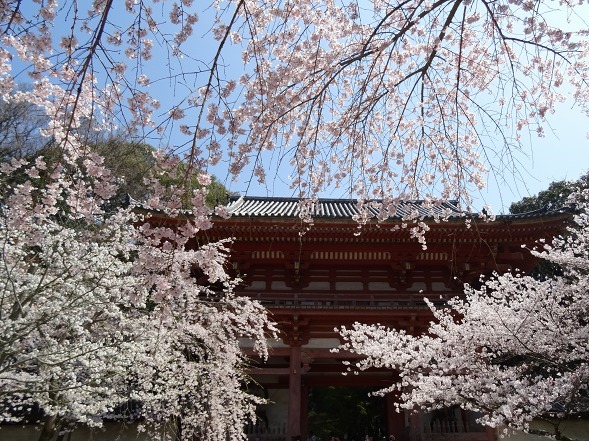 b0299042_11304194.jpg